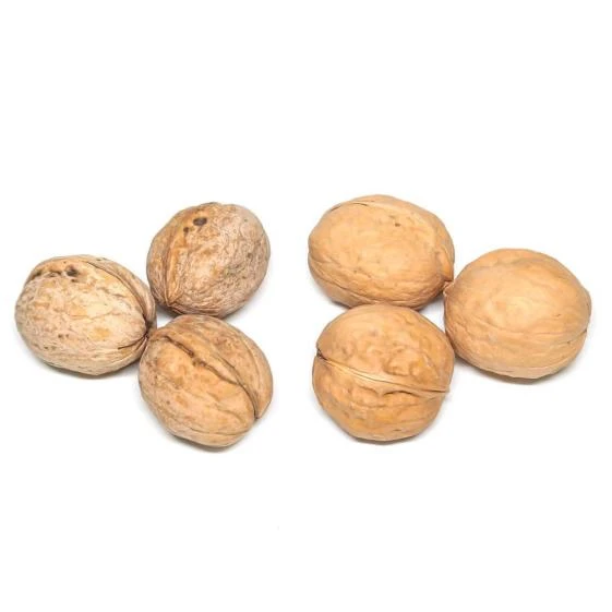 product-561-561